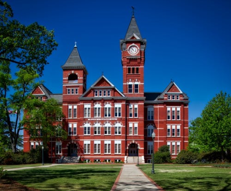 pexels-photo-207692-min